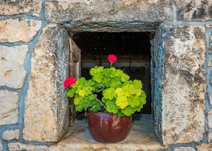 Petrovi Dvori Zadarvillas