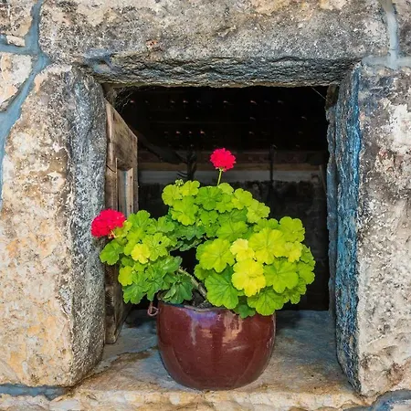 Petrovi Dvori Zadarvillas