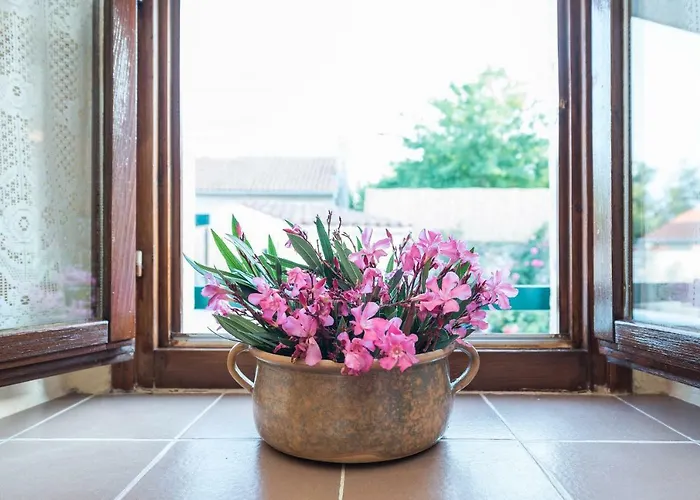 Petrovi Dvori Zadarvillas *